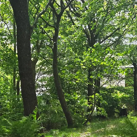 Spacious Foresthouse With Stunning View * Ydby