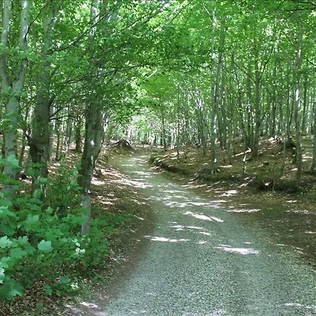 Spacious Foresthouse With Stunning View Casa de Férias Ydby