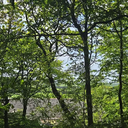 Spacious Foresthouse With Stunning View Nyaraló