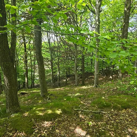 Casa de Férias Spacious Foresthouse With Stunning View *