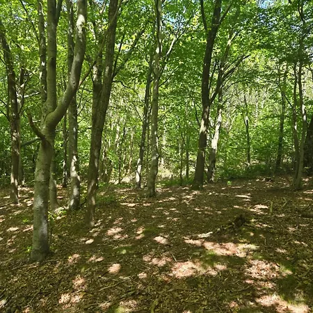 Spacious Foresthouse With Stunning View * Ydby