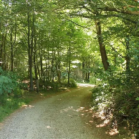 Spacious Foresthouse With Stunning View Ydby